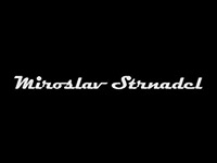Partner Strnadel